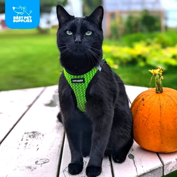 Voyager (COPY) Vest Harness for Small Pets by Best Pet Supplies - Lime/Green,XS - Picture 3 of 10